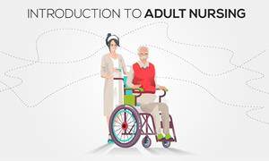 Adult Nursing /1/ Theory