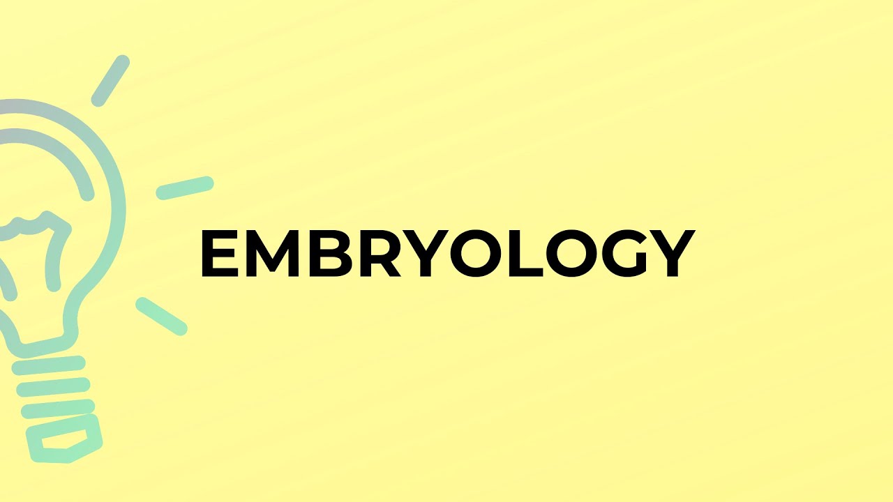 Embryology