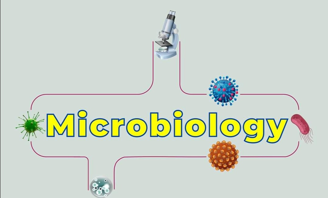 Microbiology Practice /2/