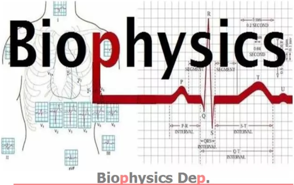 Bio-Physics