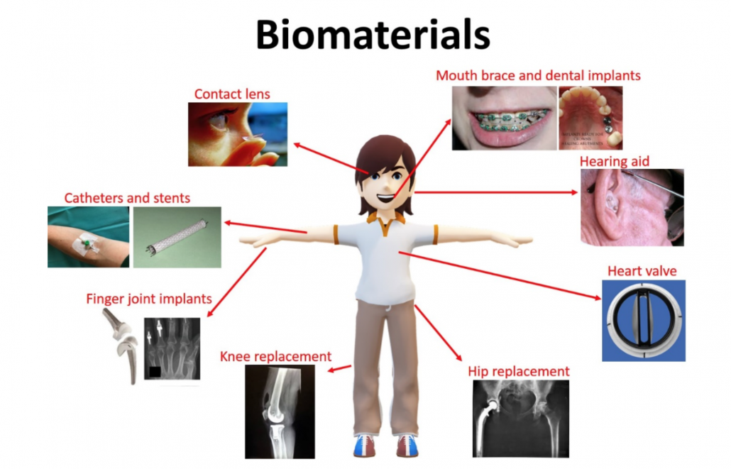 Bio-Material II