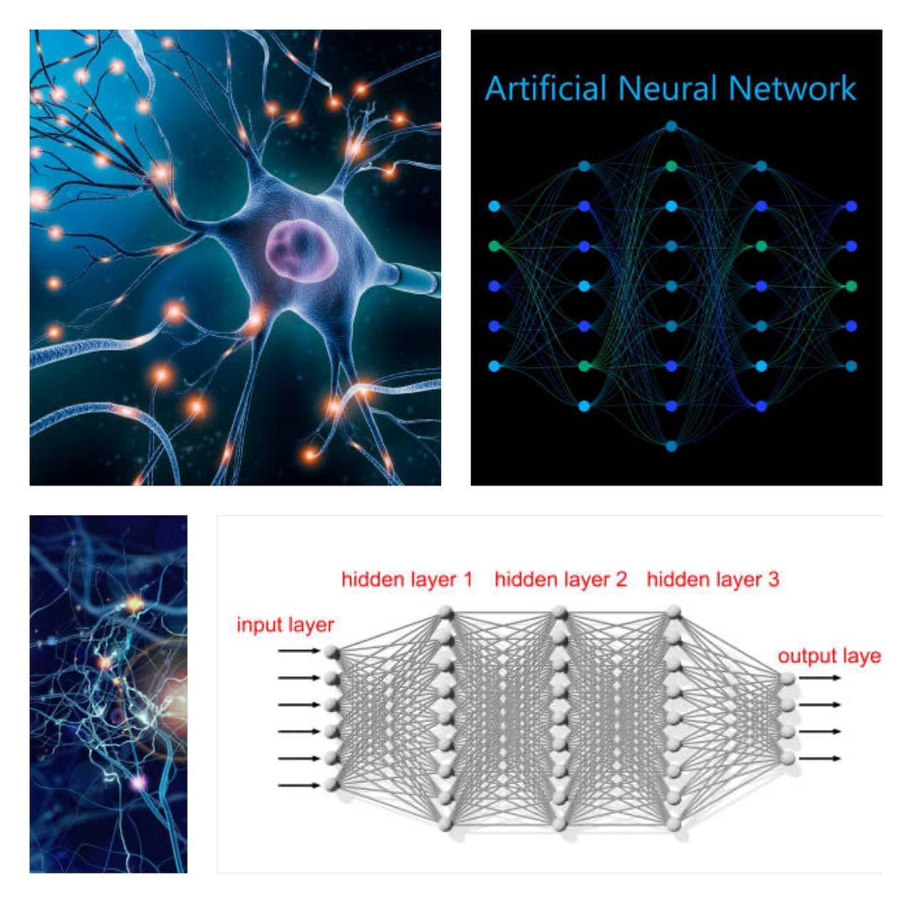 Neural Networks