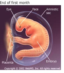 Maternal and Neonate Nursing Practice